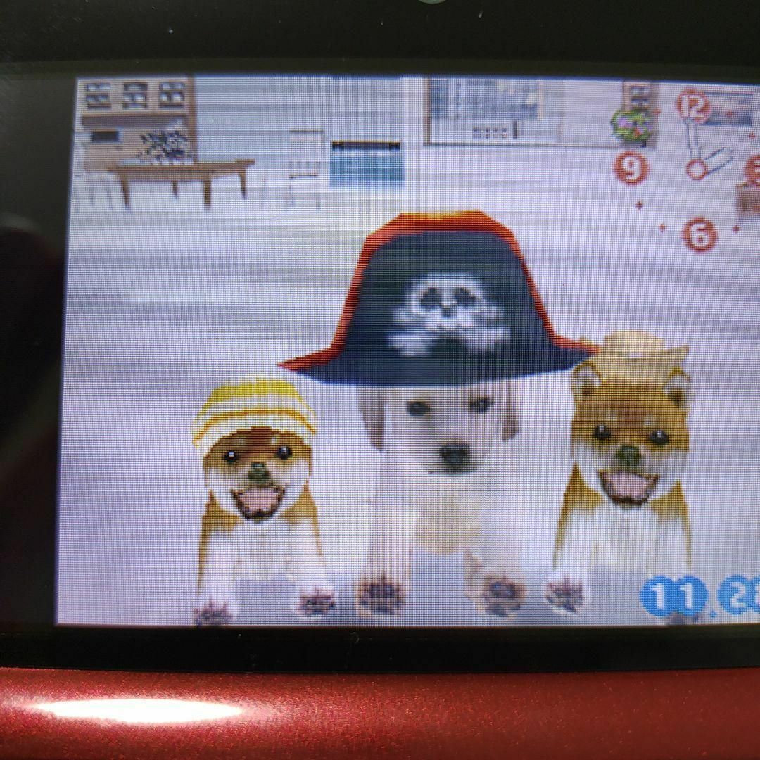 ニンテンドーDS(ニンテンドーDS)のnintendogs チワワ＆フレンズ エンタメ/ホビーのゲームソフト/ゲーム機本体(携帯用ゲームソフト)の商品写真