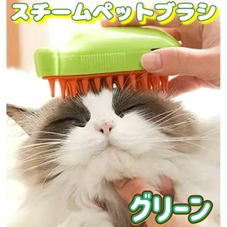 キャット スチームブラシ　グリーン USB充電 マッサージ 犬　猫　用(猫)