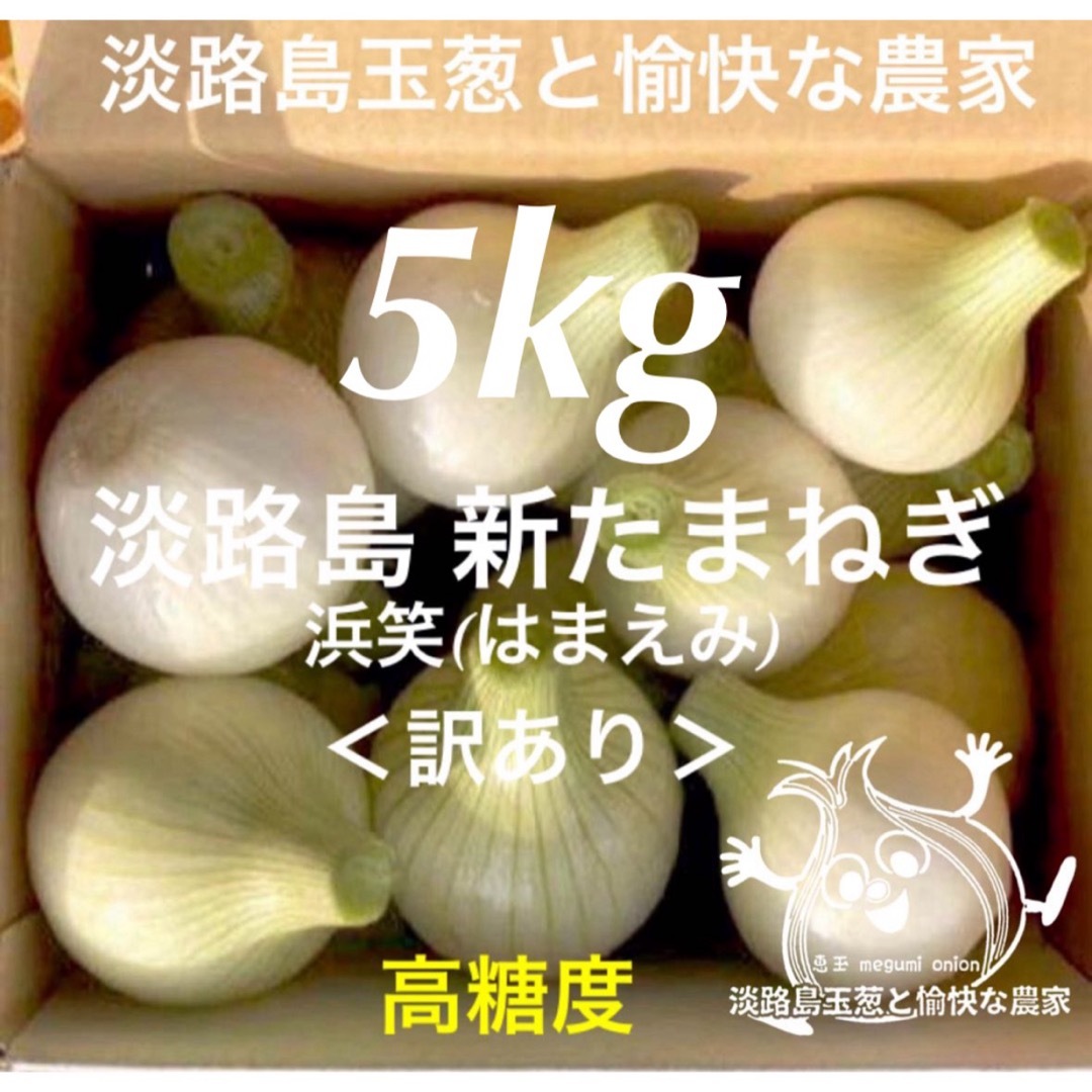 ＜訳あり＞淡路島産新玉ねぎ5kg 高糖度 新玉葱 新たまねぎ  食品/飲料/酒の食品(野菜)の商品写真