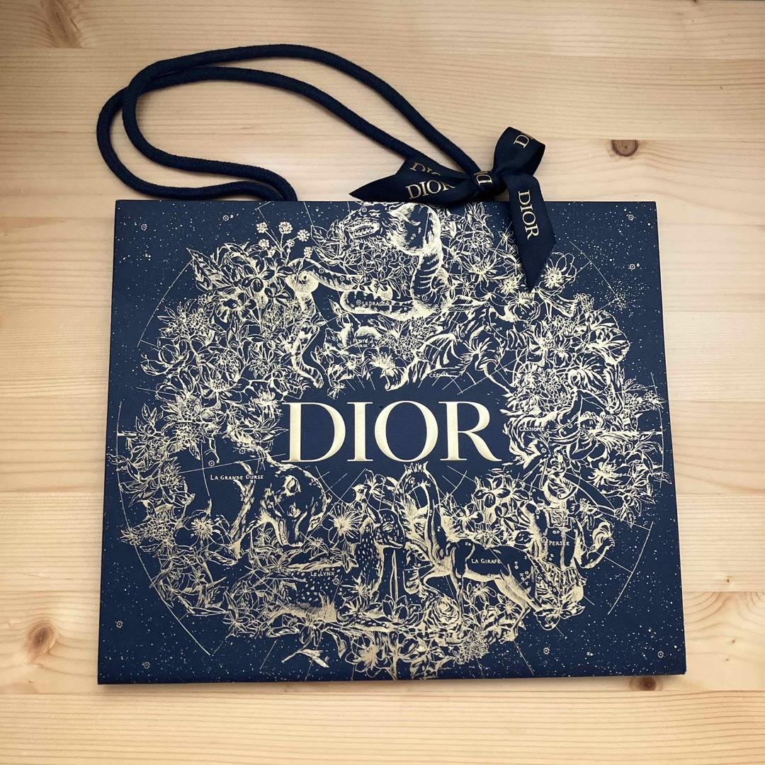 Dior - Dior ショッパー 2枚セットの通販 by はる's shop｜ディオール