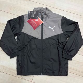 プーマ(PUMA)の新品 PUMA プーマ ウィンドブレーカー 120  ブラック／グレー(ジャケット/上着)