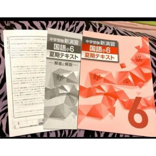 学習塾用教材、ED中学受験新演習夏期 国語【未使用】【美品】(語学/参考書)