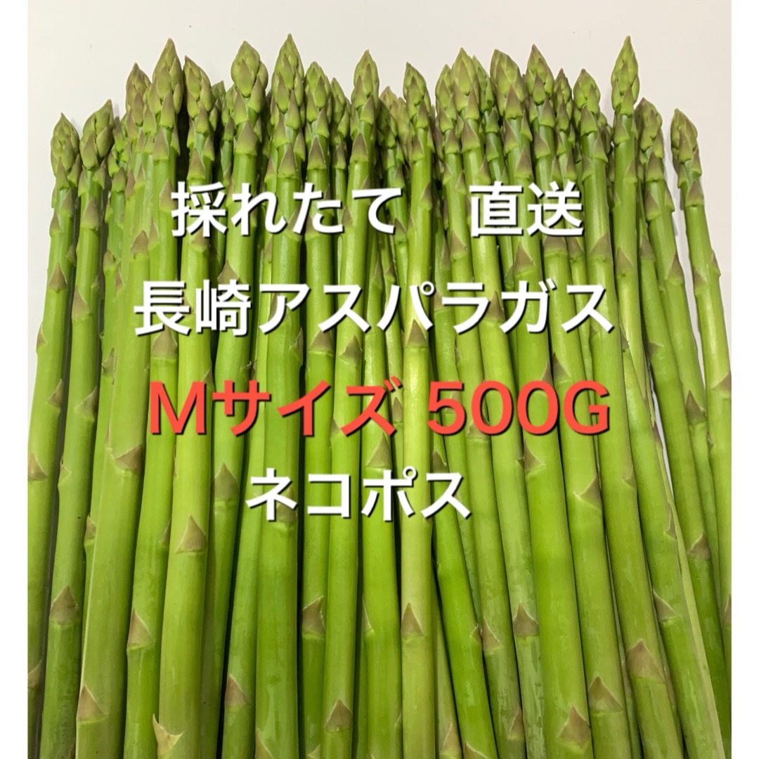産直長崎産アスパラガスMサイズ 500グラム 食品/飲料/酒の食品(野菜)の商品写真