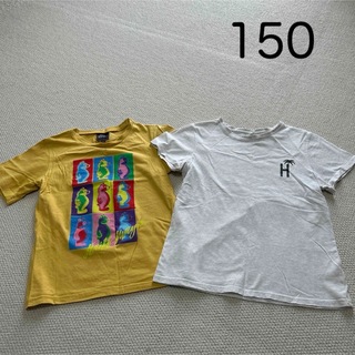 KRIFF MAYER - クリフメイヤー＆ビーデスビー　半袖Tシャツ　150