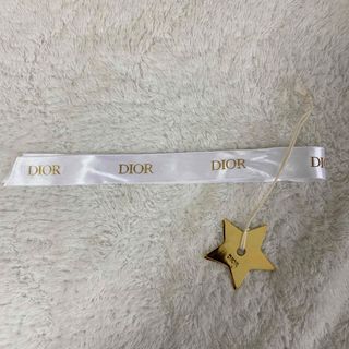 クリスチャンディオール(Christian Dior)のDior チャーム(キーホルダー)