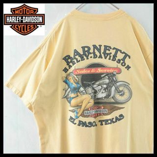 ハーレーダビッドソン(Harley Davidson)の【希少】ハーレーダビッドソン USA製 Tシャツ 両面プリント 一点物 入手困難(Tシャツ/カットソー(半袖/袖なし))