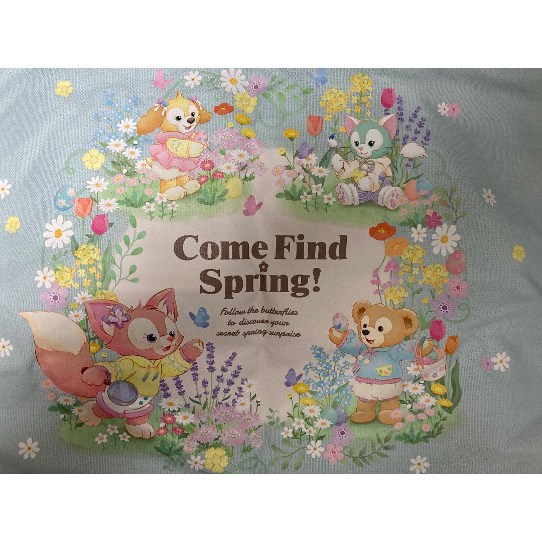 Disney(ディズニー)の【choco様専用】カムファインドスプリング　 トートバッグ 新品未使用 エンタメ/ホビーのおもちゃ/ぬいぐるみ(キャラクターグッズ)の商品写真