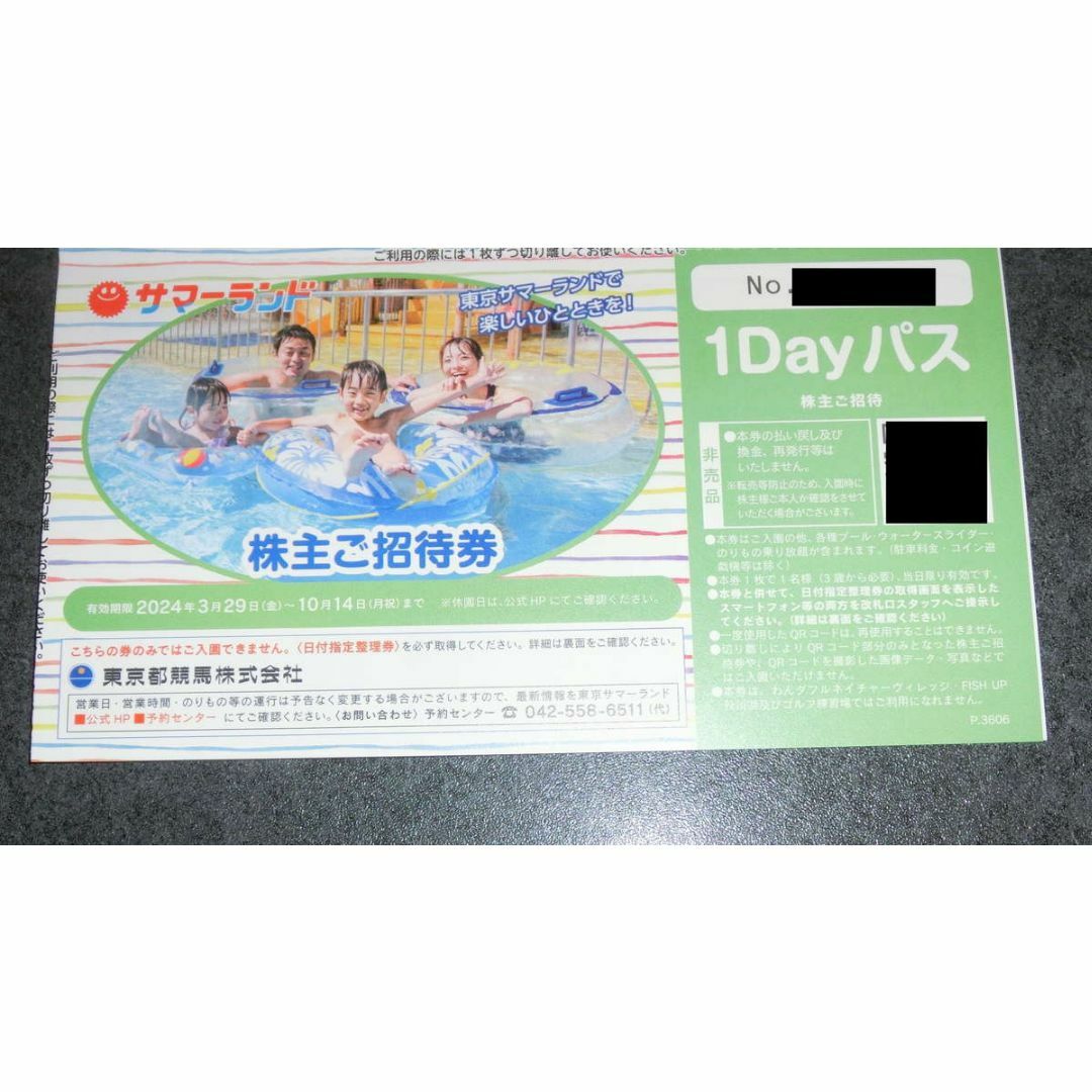 2枚 東京サマーランド 1Dayパス チケットの施設利用券(遊園地/テーマパーク)の商品写真