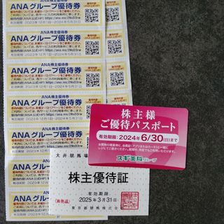 スギ、ANA、大井競馬株主優待詰め合わせ(遊園地/テーマパーク)