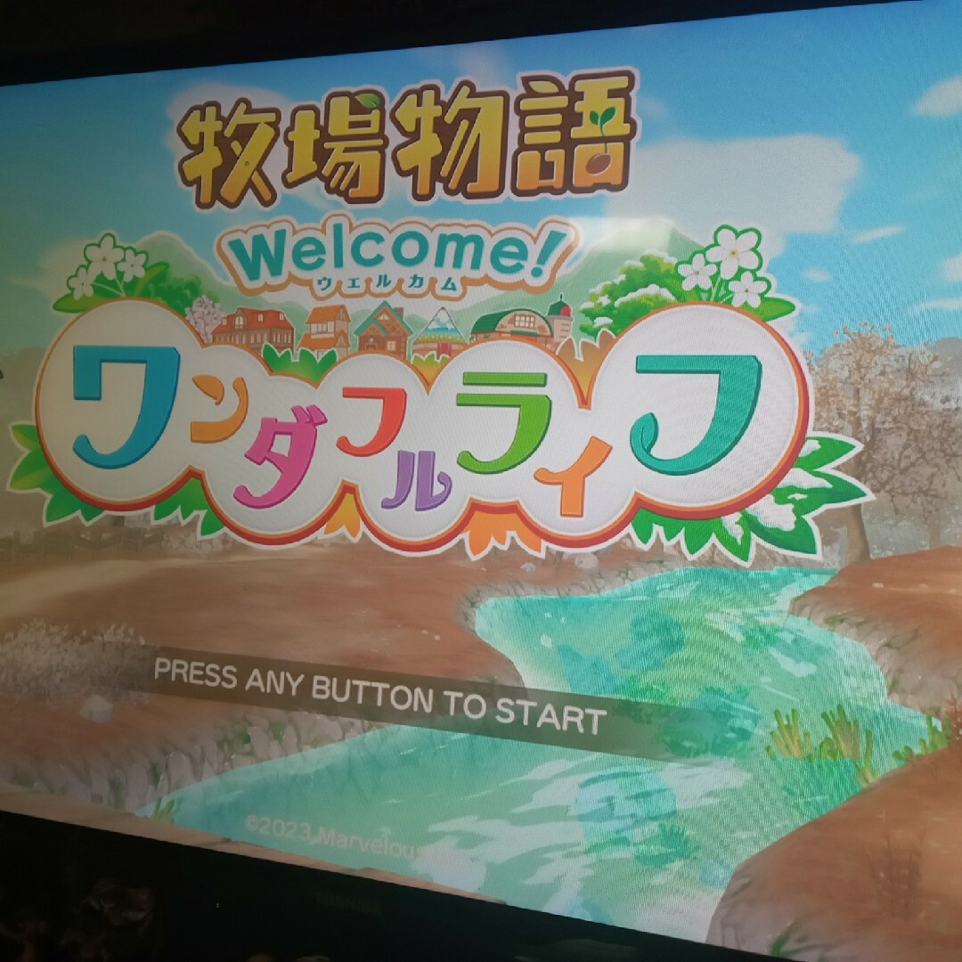 牧場物語 Welcome！ ワンダフルライフ エンタメ/ホビーのゲームソフト/ゲーム機本体(家庭用ゲームソフト)の商品写真