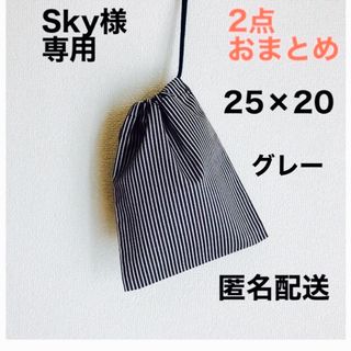 Sky様ご専用＊ランチョンマット 40×60 パンダ 2枚& 巾着袋1枚 (外出用品)