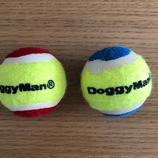 ドギーマン(DoggyMan)のドギーマン 小型犬用ボール2個(犬)