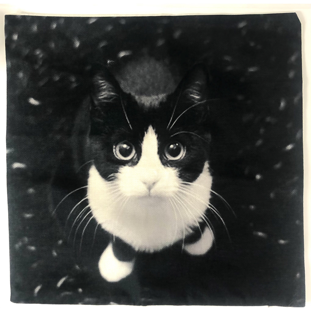 猫 ネコ ハチワレ ねこ クッションカバー  おしゃれ クッション プレゼント その他のペット用品(猫)の商品写真