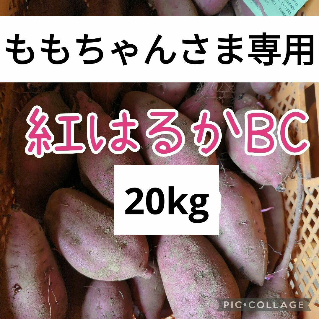 ももちゃんさま専用　紅はるかBC20kg 食品/飲料/酒の食品(野菜)の商品写真