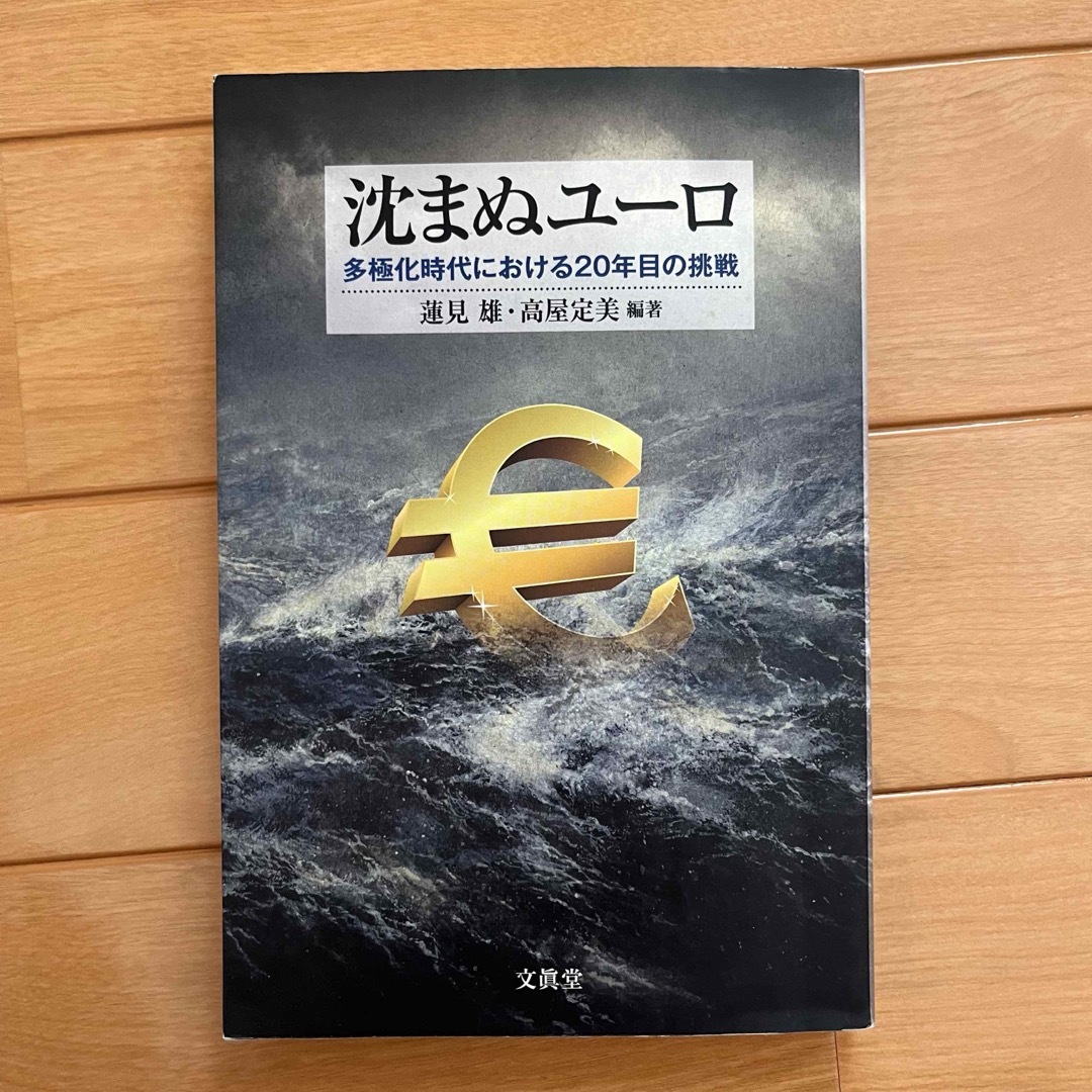 沈まぬユーロ エンタメ/ホビーの本(ビジネス/経済)の商品写真