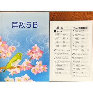 【未使用】春期講習 小5算数 解答解説付 塾専用教材(語学/参考書)