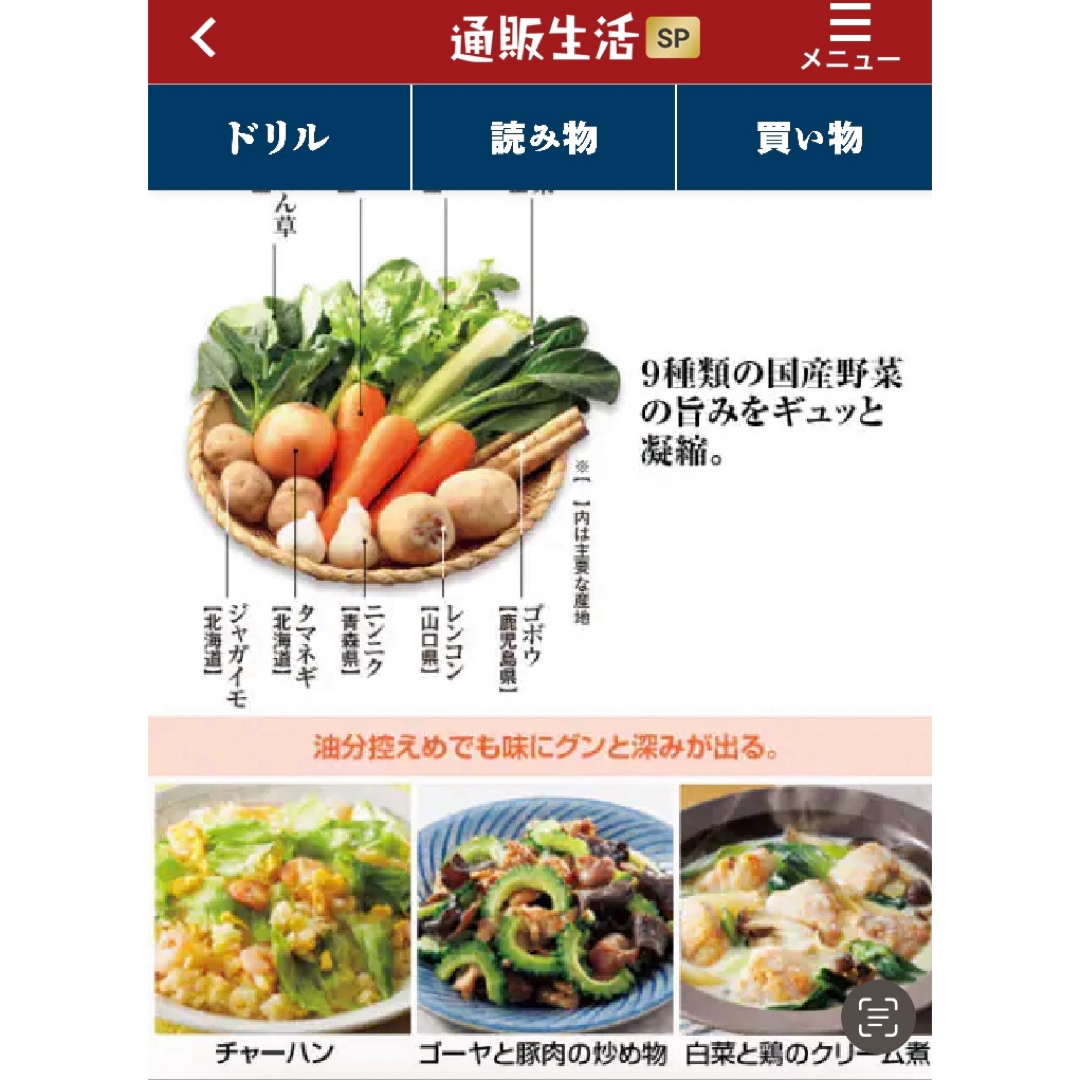 【通販生活】野菜畑のブイヨン　100g ① 食品/飲料/酒の食品(調味料)の商品写真