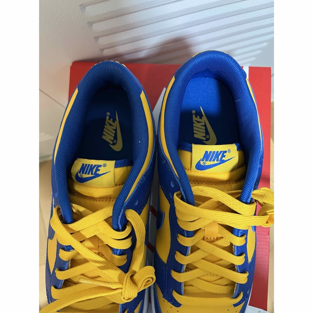 NIKE(ナイキ)のNIKE DUNK LOW Blue Jay and Uni Gold/UCLA メンズの靴/シューズ(スニーカー)の商品写真