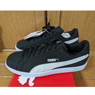 プーマ(PUMA)のPUMA(プーマ) Smash Buck  スニーカー 24.0cm(スニーカー)