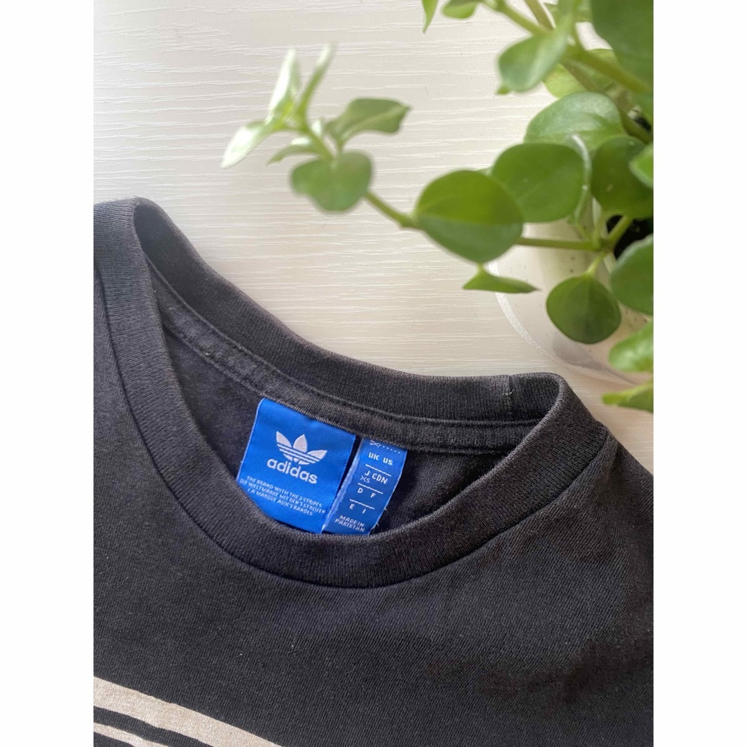 adidas(アディダス)の【adidas】アディダス Tシャツ  レディース   レディースのトップス(Tシャツ(半袖/袖なし))の商品写真