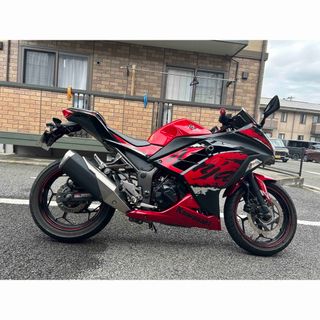 カワサキ - Ninja250 2017 ABS Special Edition