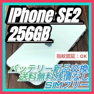 アイフォーン(iPhone)のiPhone SE 第2世代 WHITE 256GB 大容量バッテリー新品(スマートフォン本体)