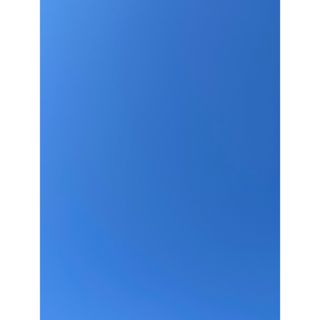 プレゼント365(その他)