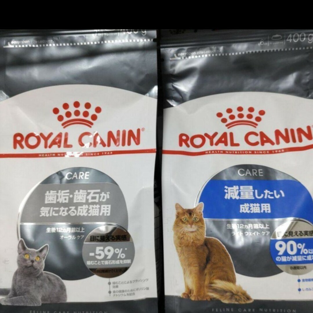 ROYAL CANIN(ロイヤルカナン)のぱんちゃん様専用　ロイヤルカナン　猫　デンタルケアと減量　セット　キャットフード その他のペット用品(ペットフード)の商品写真