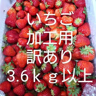 いちご　加工用　訳あり　3.6ｋｇクール便(フルーツ)