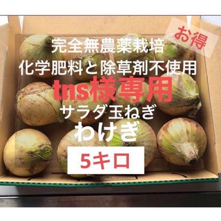 新鮮無農薬栽培　香川県産　玉ねぎ　5000g(野菜)