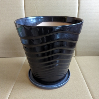【大型　受け皿付き　植木鉢】黒色　陶器鉢　10号(プランター)