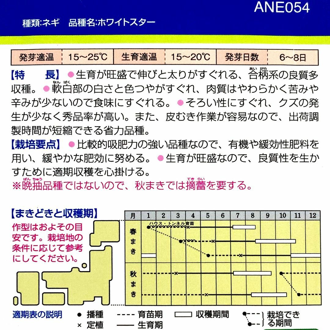 野菜種子 TVA12 ホワイトスターネギ 0.52g(約200粒) x 2袋 食品/飲料/酒の食品(野菜)の商品写真