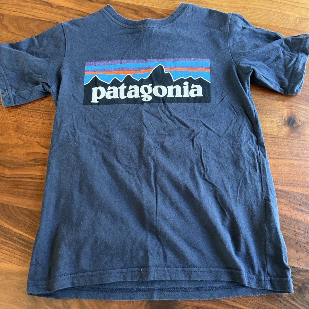 patagonia(パタゴニア)のパタゴニア 110 Tシャツ メンズのトップス(Tシャツ/カットソー(半袖/袖なし))の商品写真