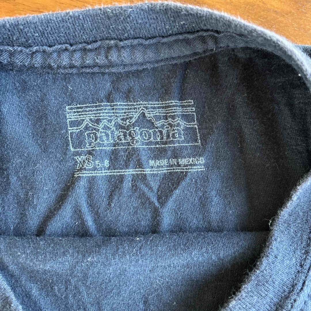 patagonia(パタゴニア)のパタゴニア 110 Tシャツ メンズのトップス(Tシャツ/カットソー(半袖/袖なし))の商品写真