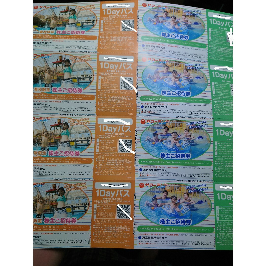 東京サマーランド 株主優待8枚 チケットの施設利用券(プール)の商品写真