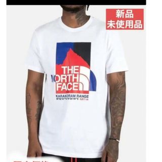 ザノースフェイス(THE NORTH FACE)のTHE NORTH FACE  名峰グラフィック　ホワイト Ｓ　半袖　Tシャツ(Tシャツ/カットソー(半袖/袖なし))