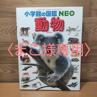 ショウガクカン(小学館)の〈まこ様専用〉　　　　【小学館の図鑑 NEO　動物】小学館　図鑑(絵本/児童書)