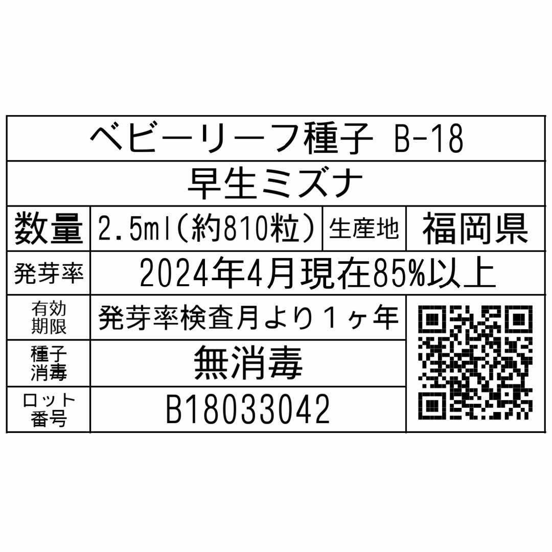 ベビーリーフ種子 B-18 早生ミズナ 2.5ml 約810粒 x 2袋 食品/飲料/酒の食品(野菜)の商品写真