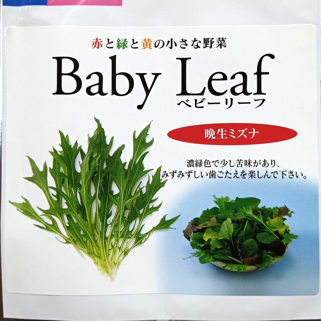 ベビーリーフ種子 B-19 晩生ミズナ 2.5ml 約560粒 x 2袋 食品/飲料/酒の食品(野菜)の商品写真