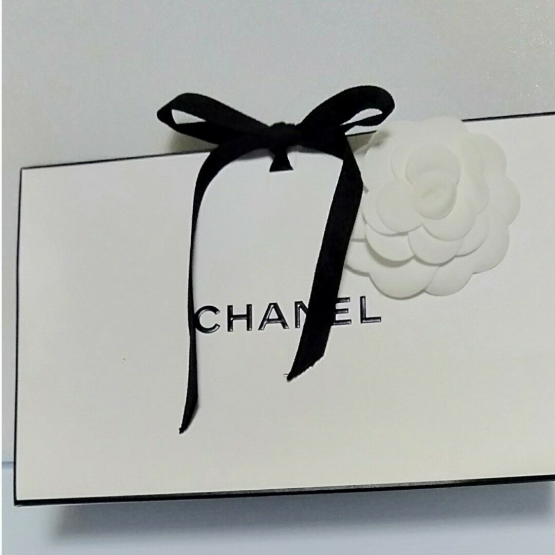 CHANEL(シャネル)の[ショップ袋11]シャネル ボックス型ショップ袋 リボン＆カメリア付き レディースのバッグ(ショップ袋)の商品写真