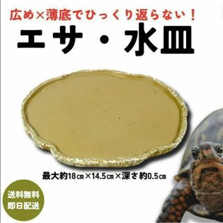 爬虫類餌やり／水やり ディッシュ 自然な岩 樹脂製 リクガメ トカゲカメレオン