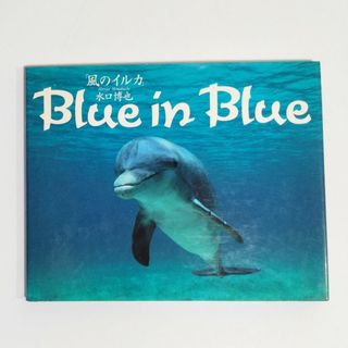 「風のイルカ」Blue in Blue 水口博也(アート/エンタメ)