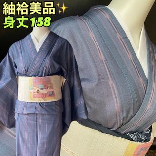 袷着物美品！ブルーとパープルの縞と絣模様のすっきりカッコ可愛い着物身丈158(着物)