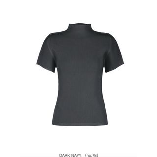 プリーツプリーズイッセイミヤケ(PLEATS PLEASE ISSEY MIYAKE)のPLEATS PLEASE ISSEY MIYAKE MIST APRIL(カットソー(半袖/袖なし))