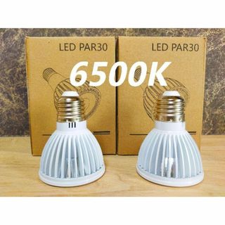 植物育成ライト 15W 6500K 2個 白色 太陽光 フルスペクトルLED(その他)