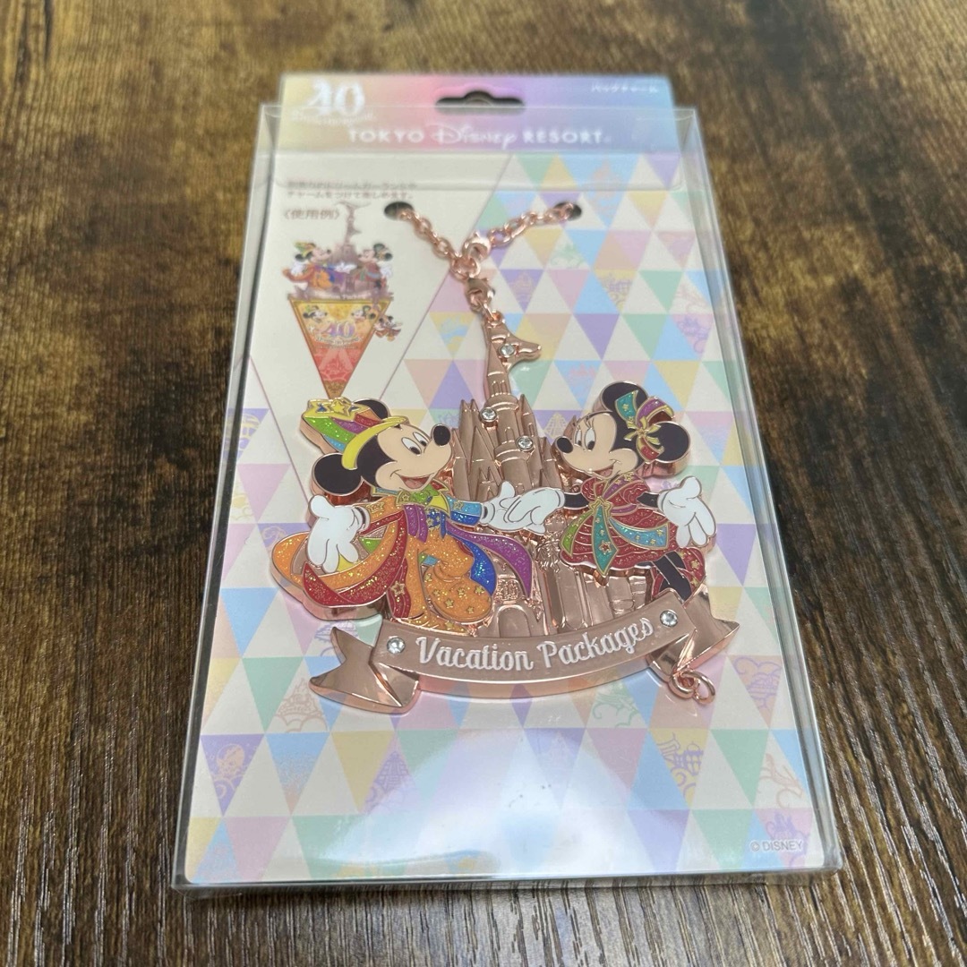 Disney(ディズニー)のバケーションパッケージ限定グッズ エンタメ/ホビーのおもちゃ/ぬいぐるみ(キャラクターグッズ)の商品写真