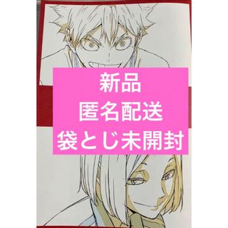 シュウエイシャ(集英社)の劇場版ハイキュー‼︎　ゴミ捨て場の決戦　入場者特典　メモリアルブック(ノベルティグッズ)