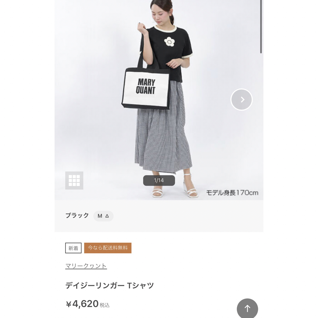 MARY QUANT(マリークワント)のマリークワント　黒Tシャツ レディースのトップス(Tシャツ(半袖/袖なし))の商品写真