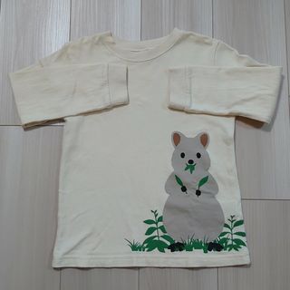 ムジルシリョウヒン(MUJI (無印良品))の美品☆　無印良品　クォッカ　120(Tシャツ/カットソー)