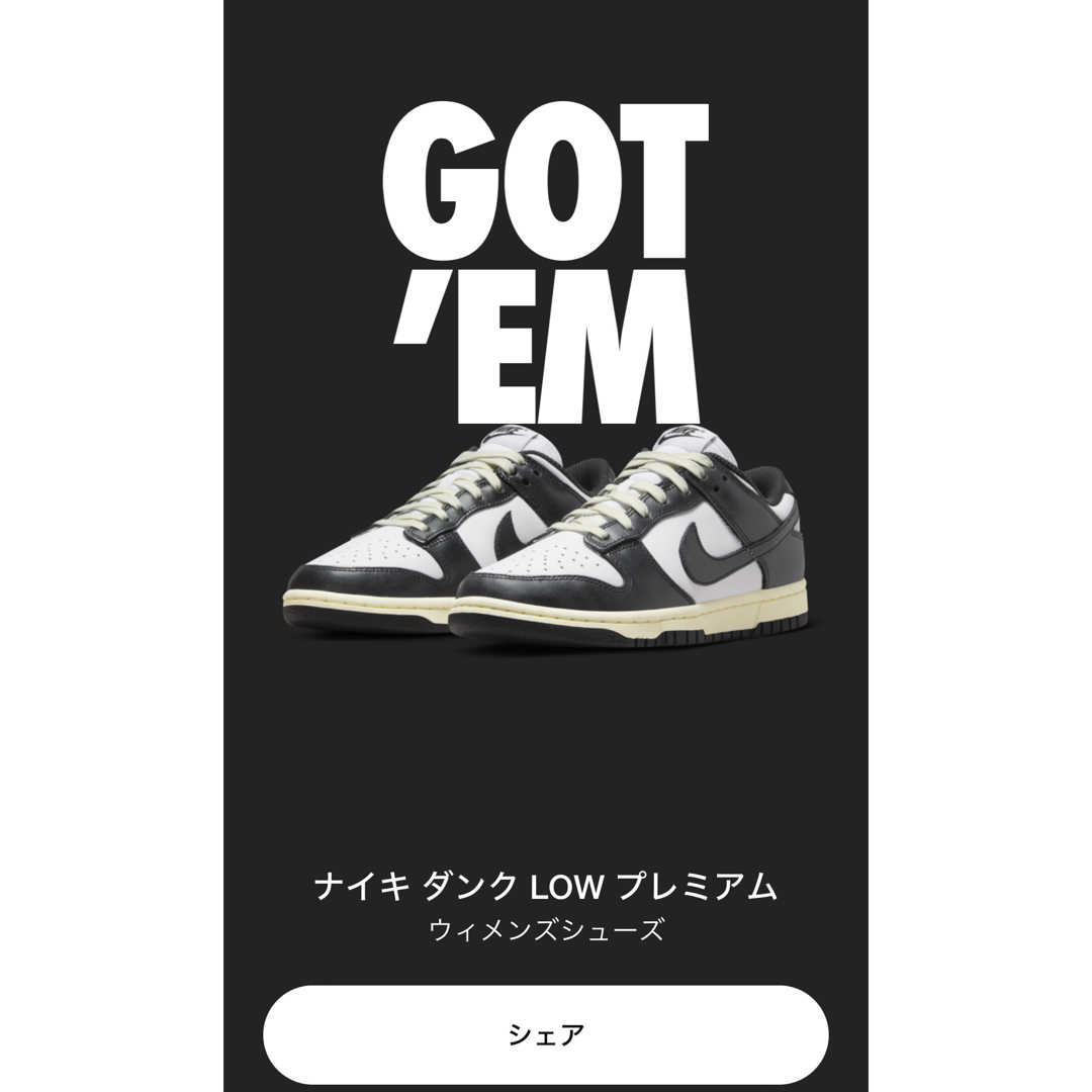 NIKE(ナイキ)のNIKE ウィメンズ　ダンクlow  PRM メンズの靴/シューズ(スニーカー)の商品写真